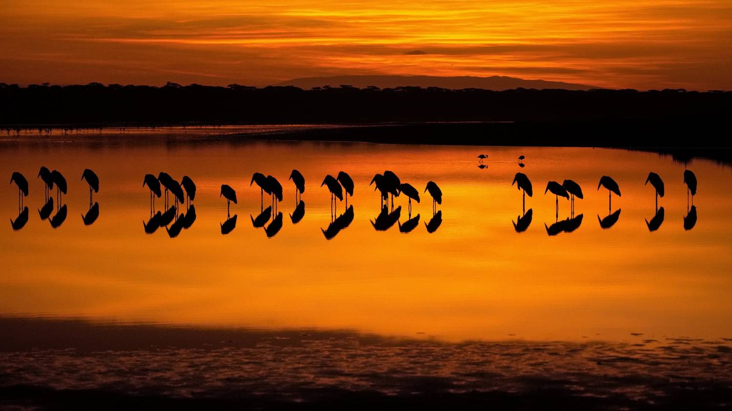 , Александр Перов