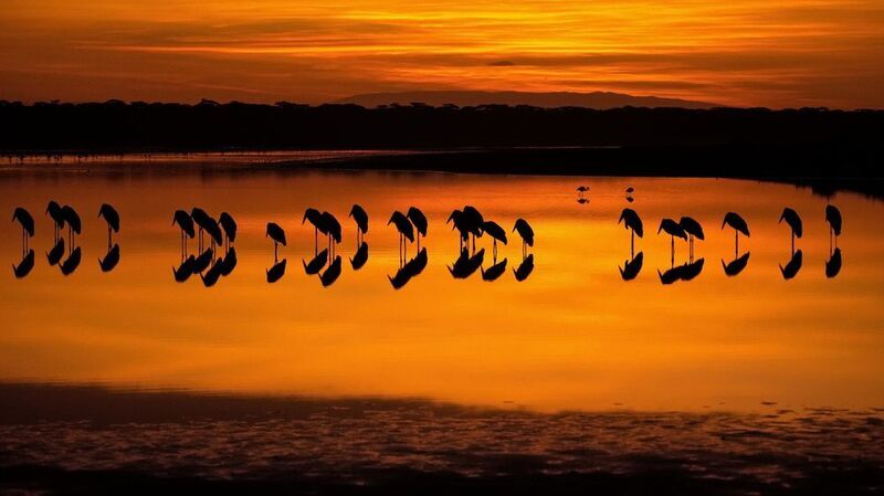 НОТЫ фото превью