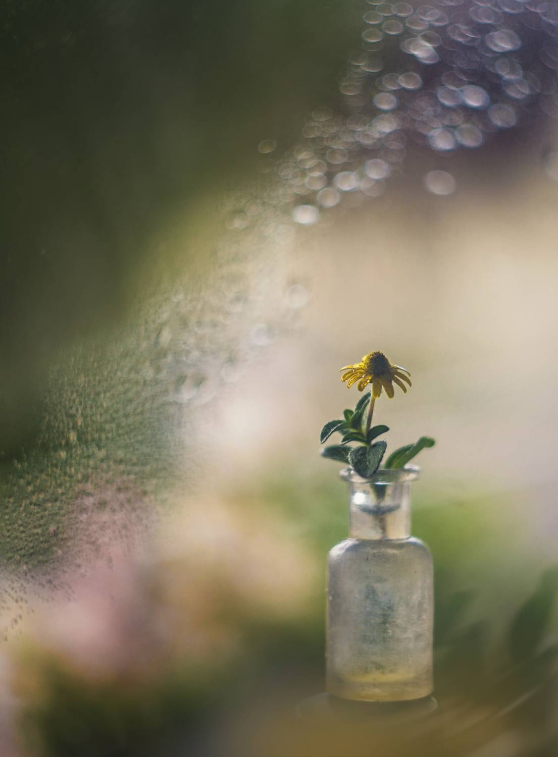 , Сигидова Ирина