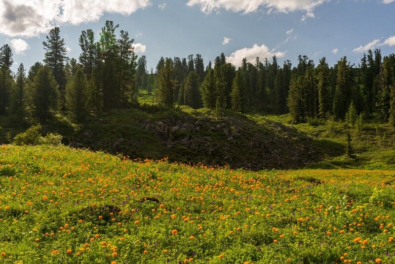 арадан ** * фото превью