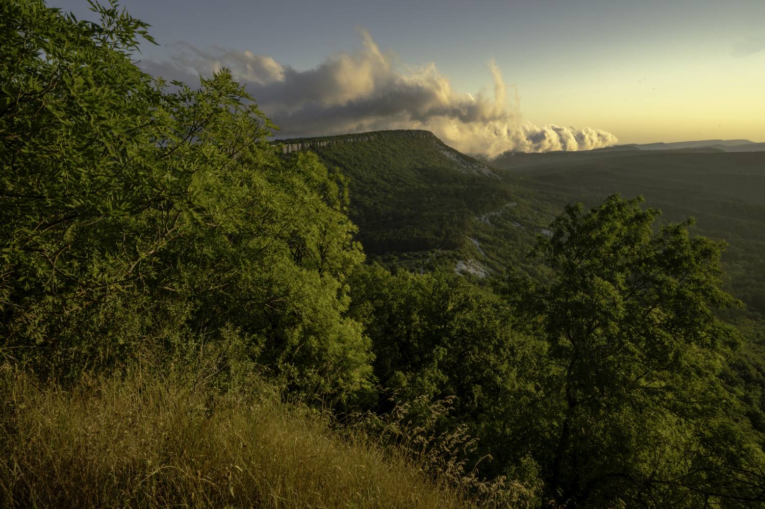 Россия, Крым, Бахчисарайский район, Тепе-Кермен, , Гаврилов Юрий
