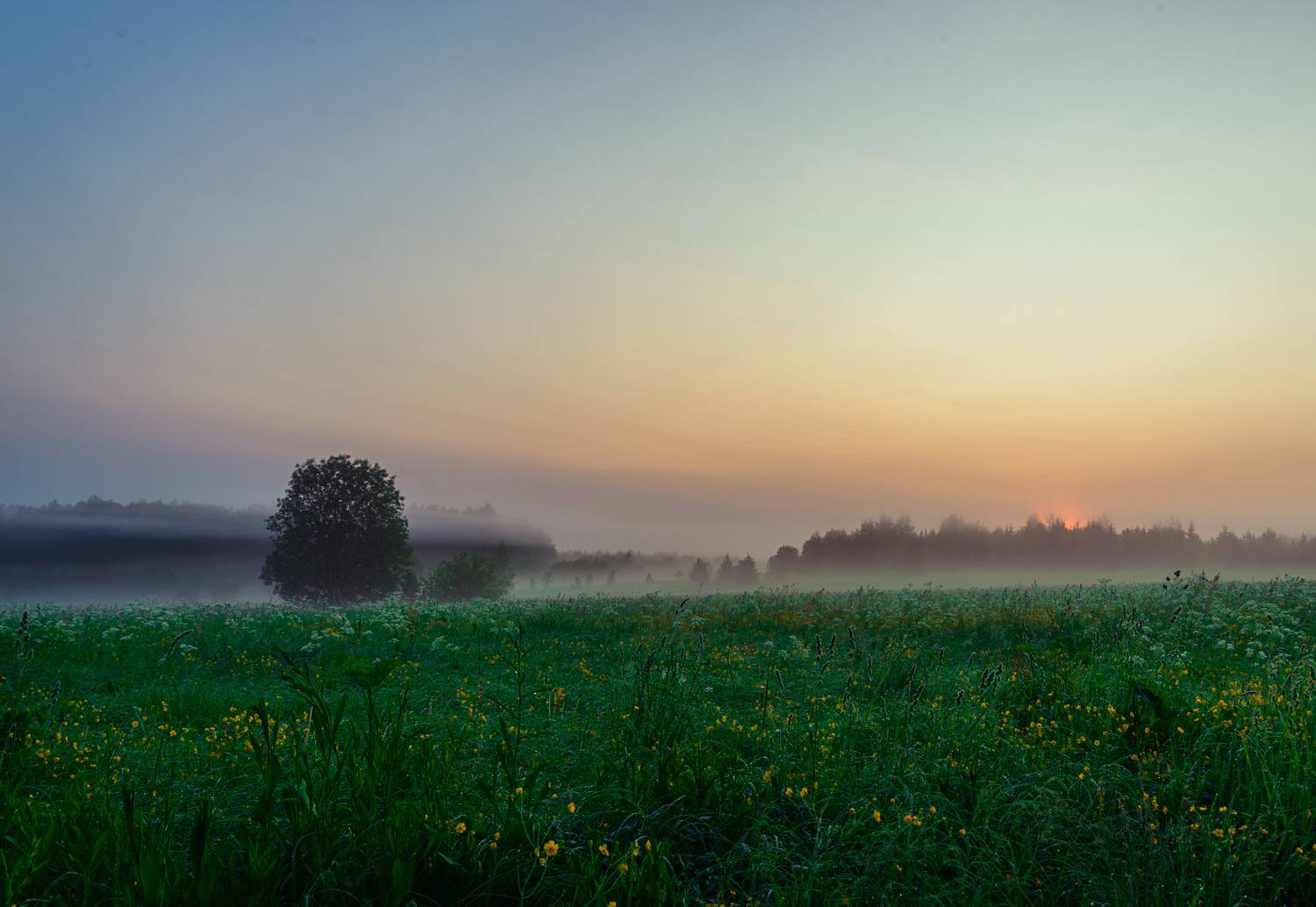 , Кокорин Алексей