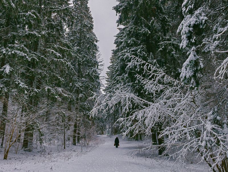 Зима в Пушкинский горах фото превью