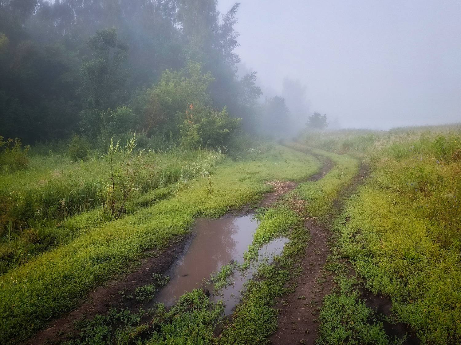 , Кондрашова Светлана