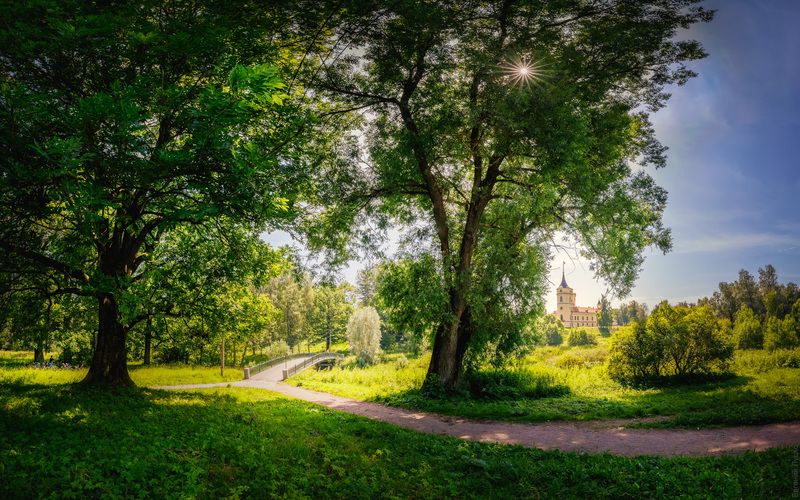 Павловск, июль 2025г фото превью