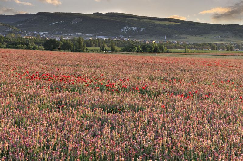 фото превью