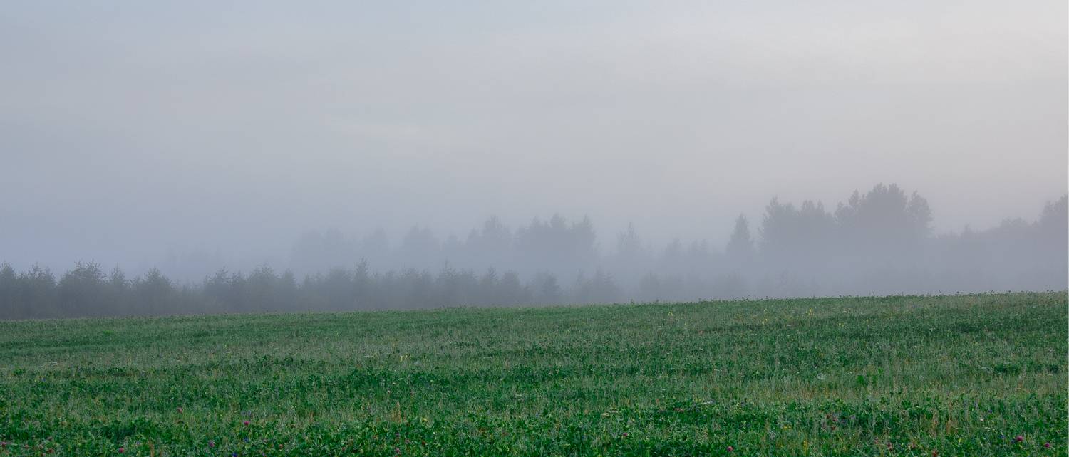 , Комарова Вера