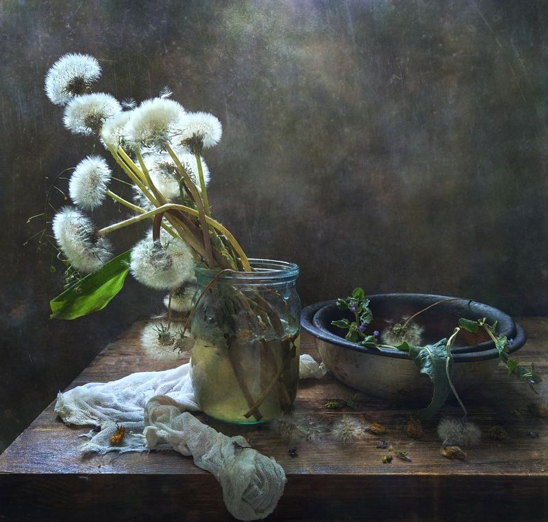 одуванчик, банка, миска, марля Одуванчики фото превью