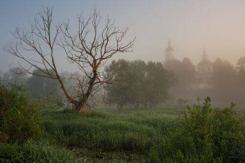 Былое и думы