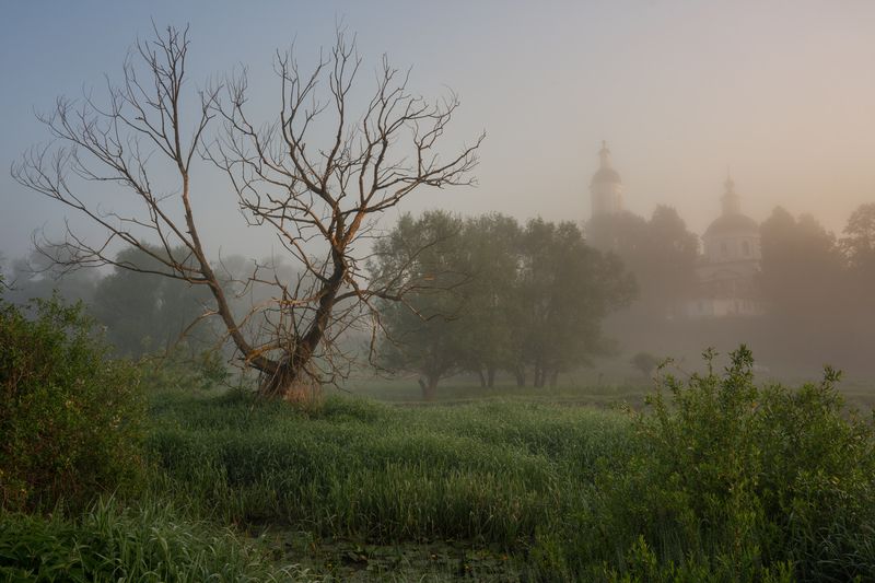 Былое и думы фото превью