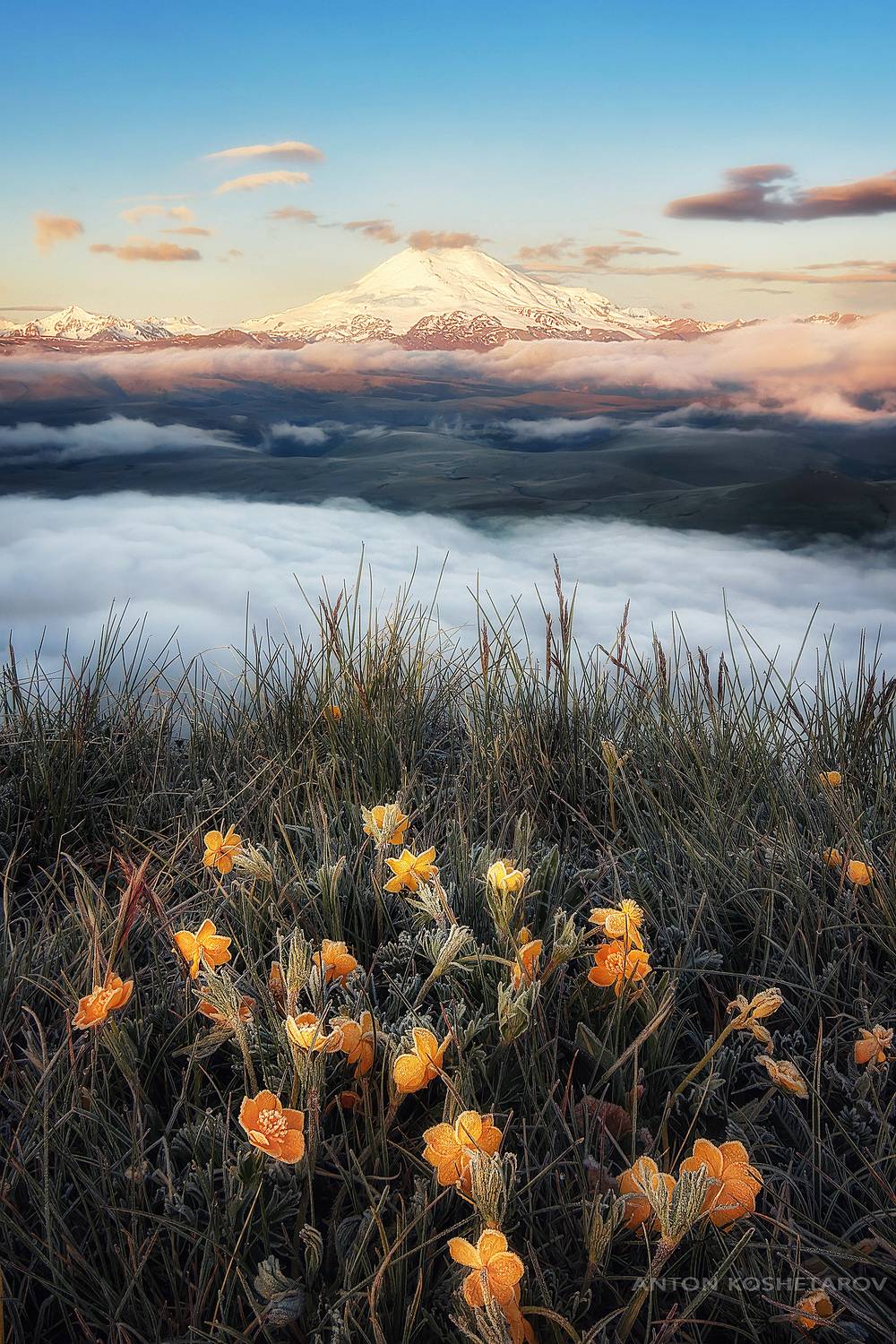 , Антон Кошетаров