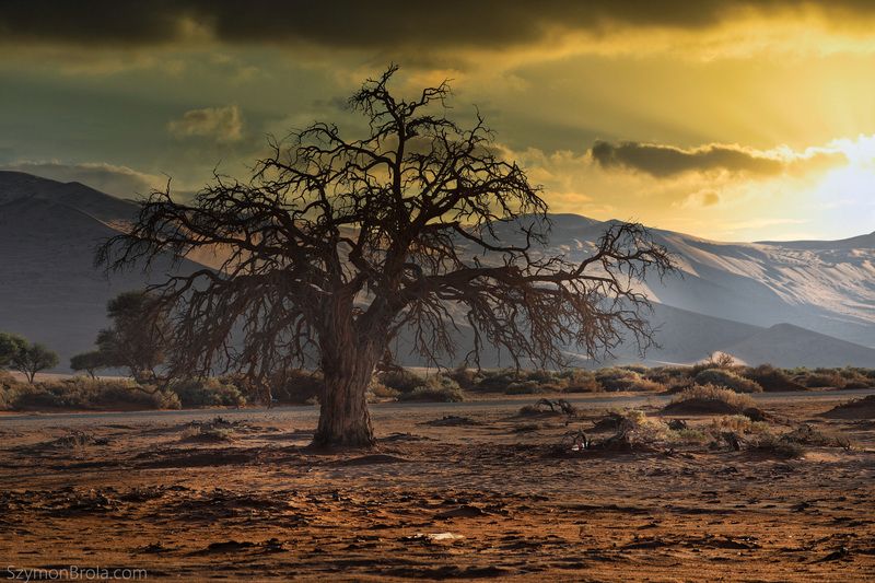 Namib фото превью