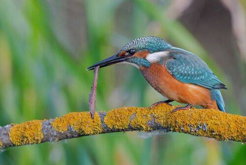 Закручу самокрутку