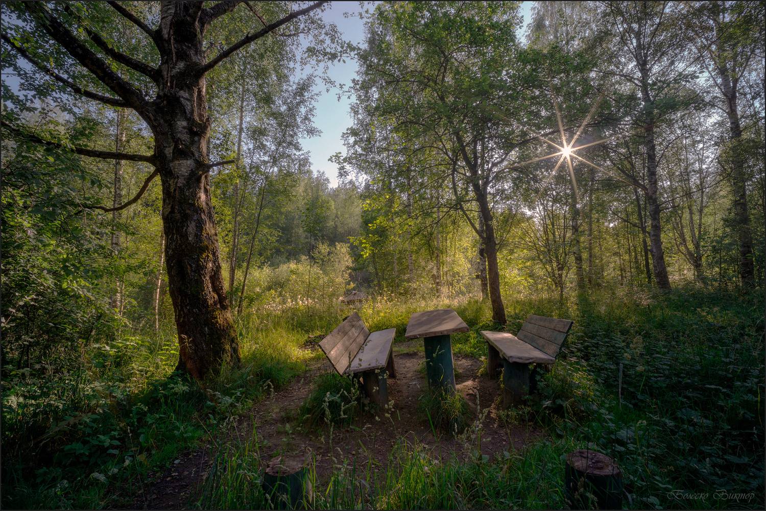 , Болеско Виктор