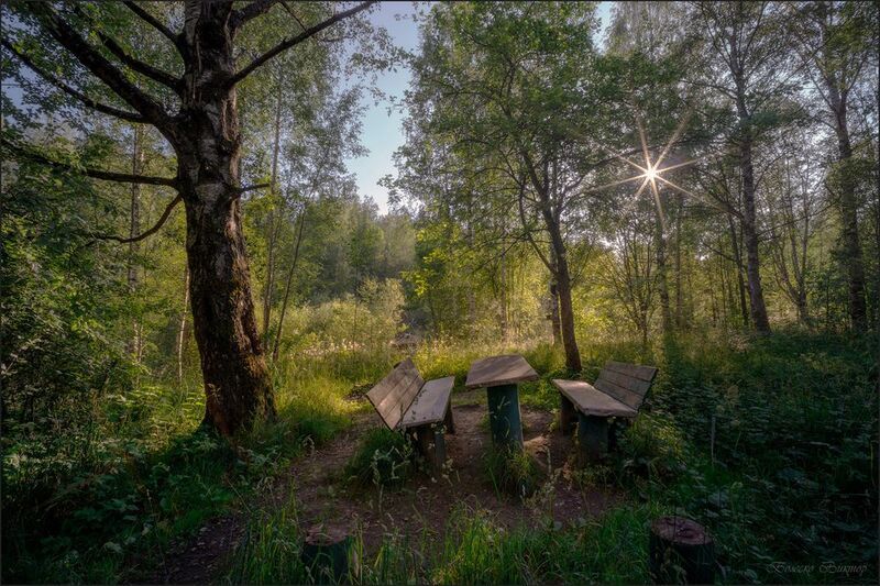 Давно ушли любители этого места фото превью