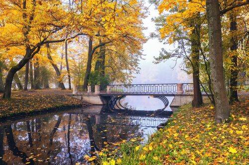 Утро в Александровском парке