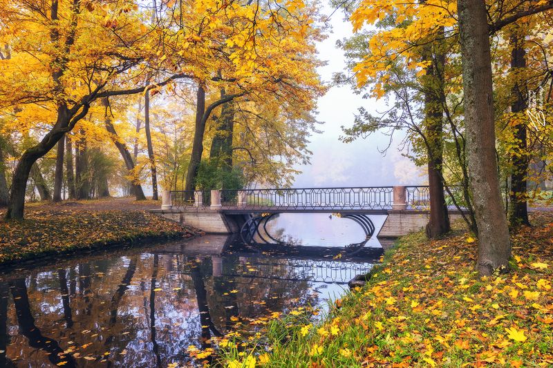 санкт-петербург, александровский парк, пушкин, осень, утро Утро в Александровском парке фото превью