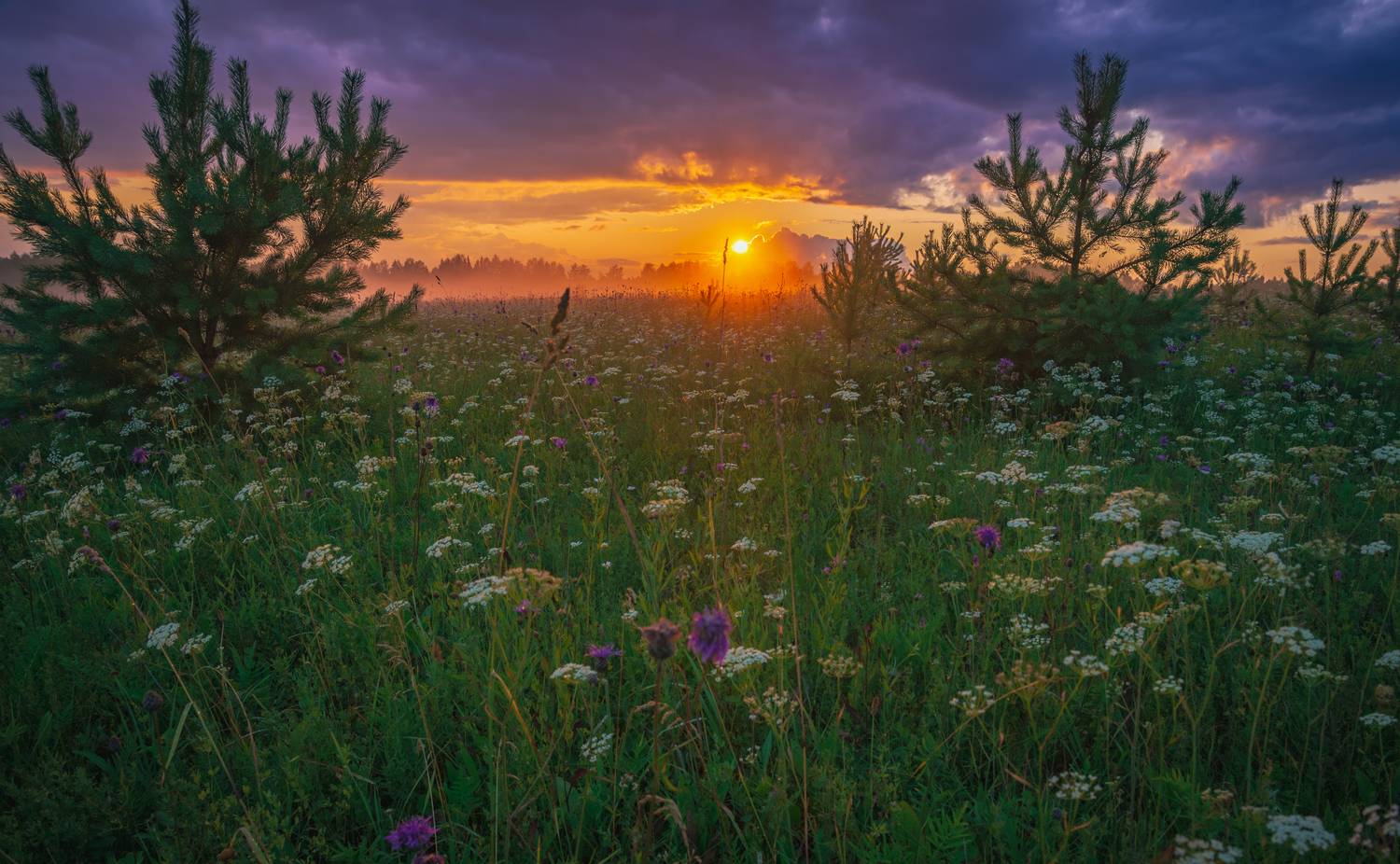 , Кокорин Алексей