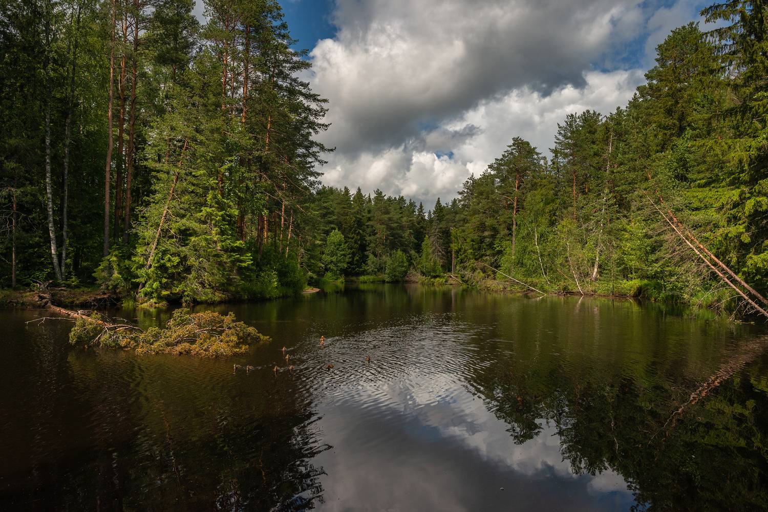 , Роман Горячий