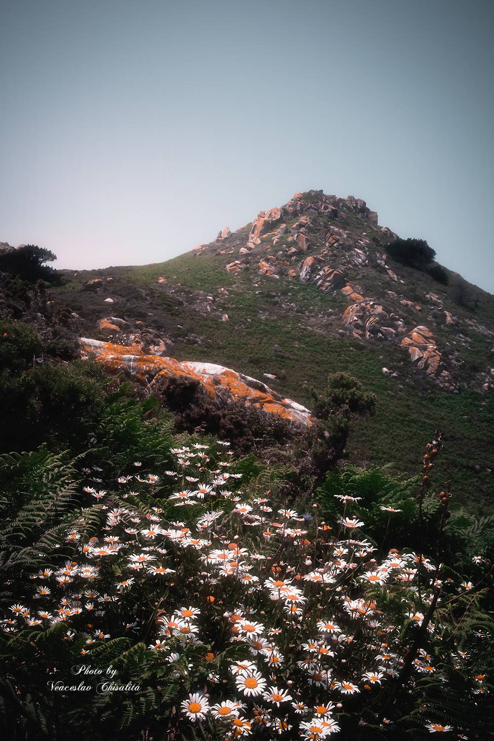 #пейзаж #пейзажнаяфотография #природа #фотодлядуши #фотолюбитель #фотографлюбитель #фотодня #атмосферно #горы #вдохновение, Veaceslav Chisalita