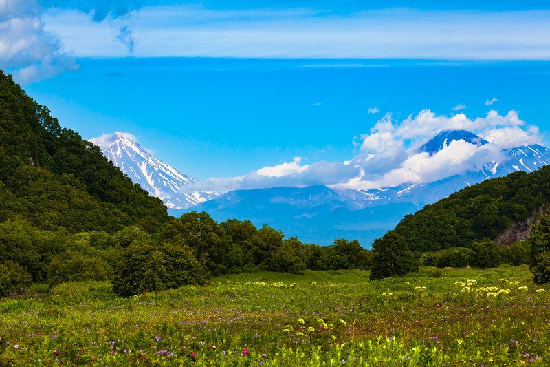 камчатка, вулканы, поляна, лето Камчатское лето фото превью