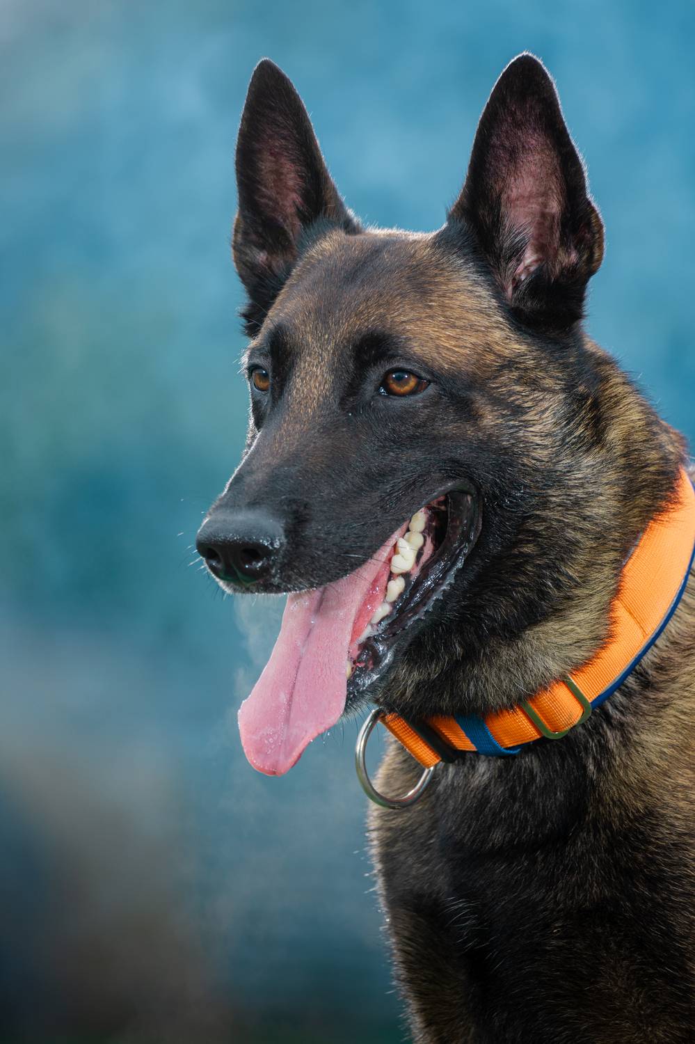 , Сергей Князев