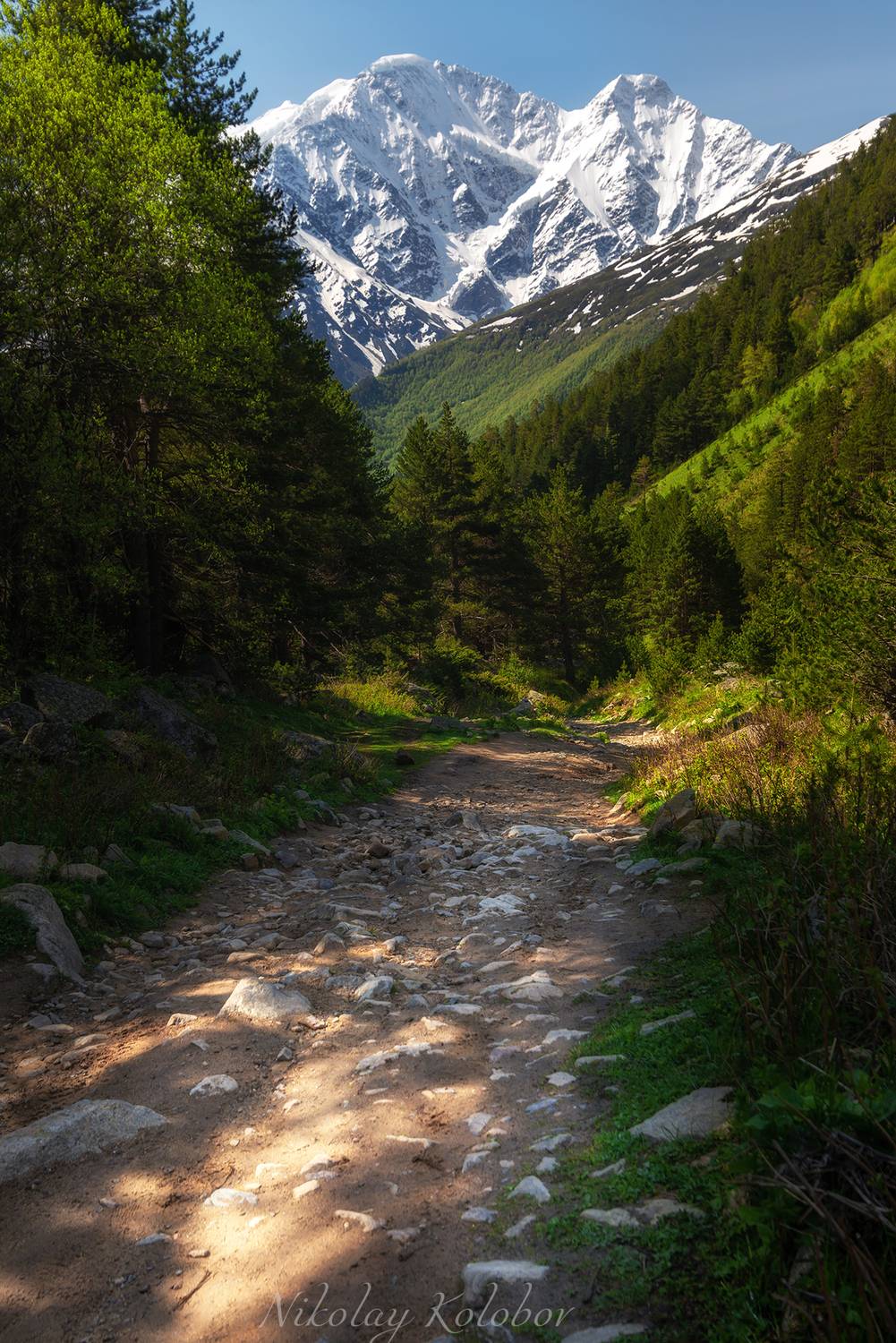 , Колобов Николай