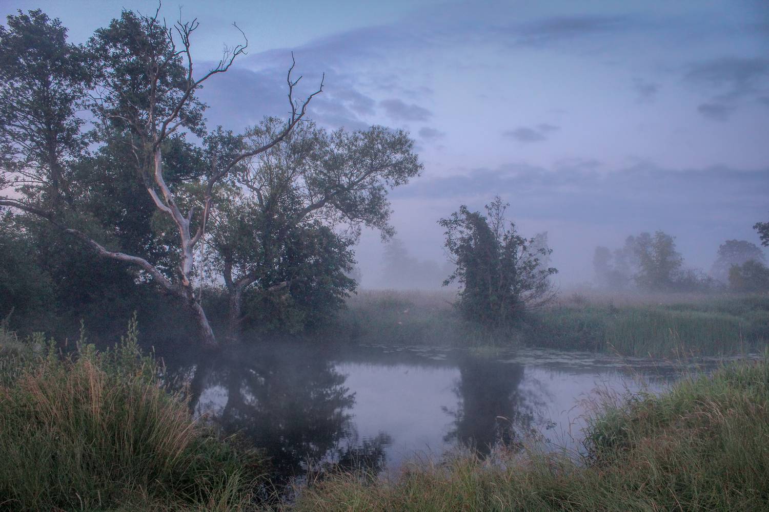 , Игорь Денисов