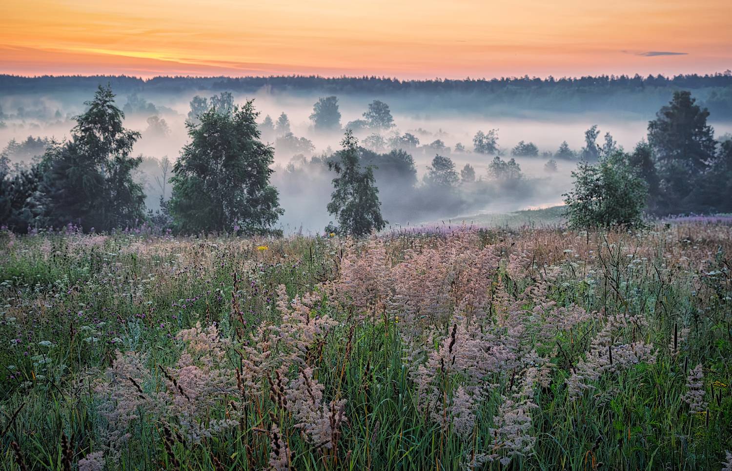 , Евгений Ерохин