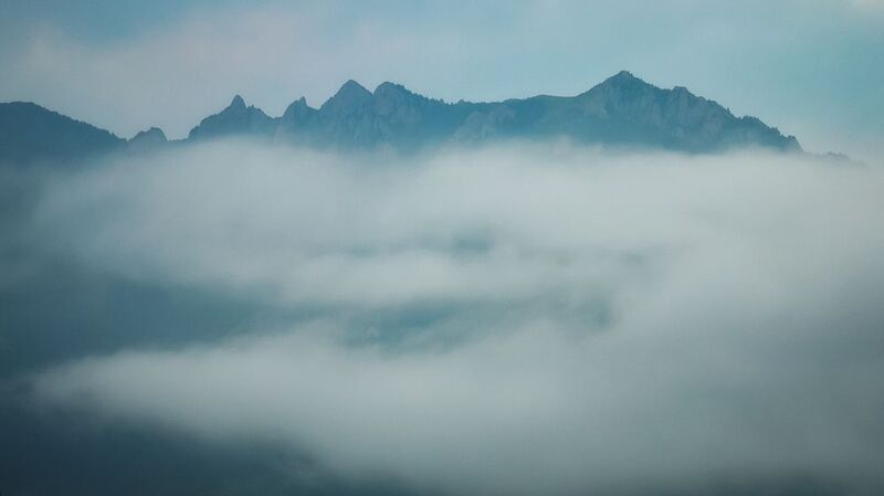 2016 фото превью