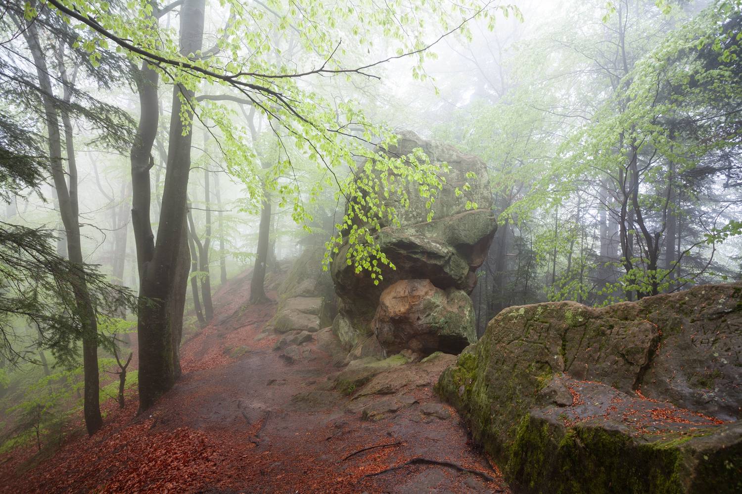 ,  Mirosław Pruchnicki