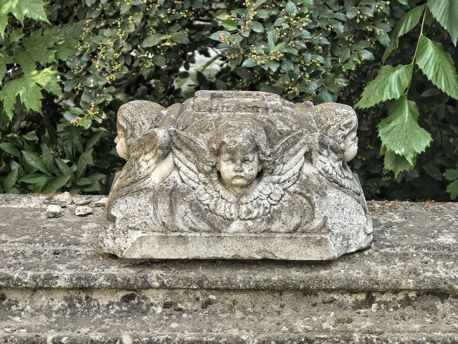 , Шурчков Юрий