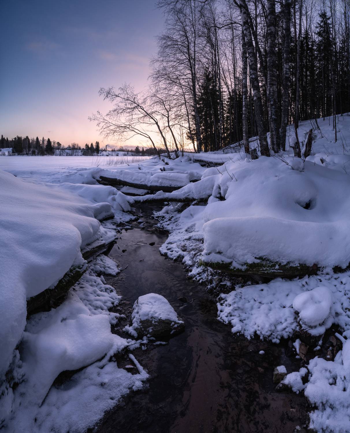 , Алексей Турчин