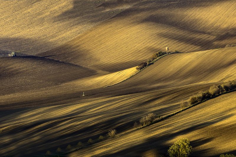 Rolling Fields фото превью