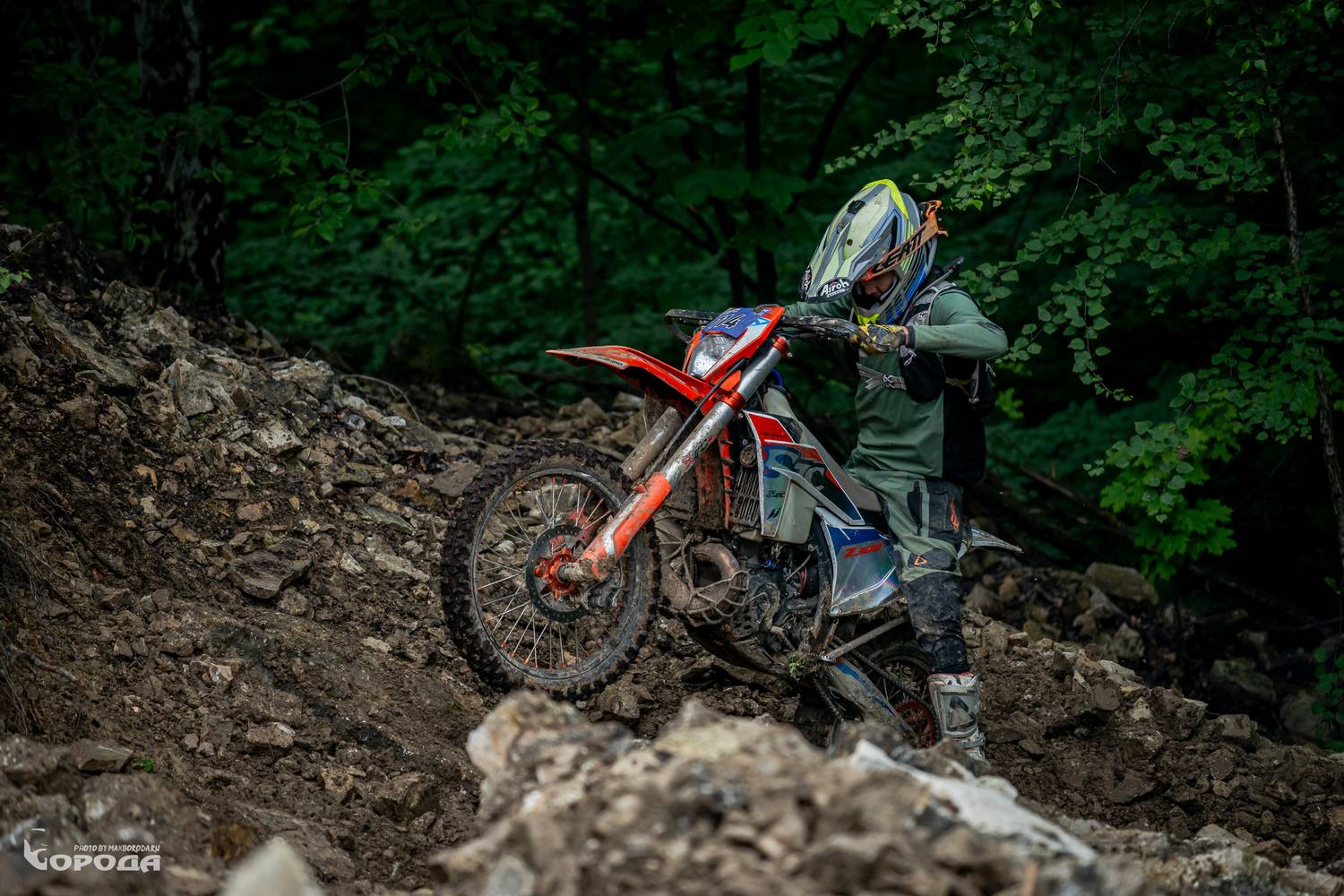 , Макс Борода