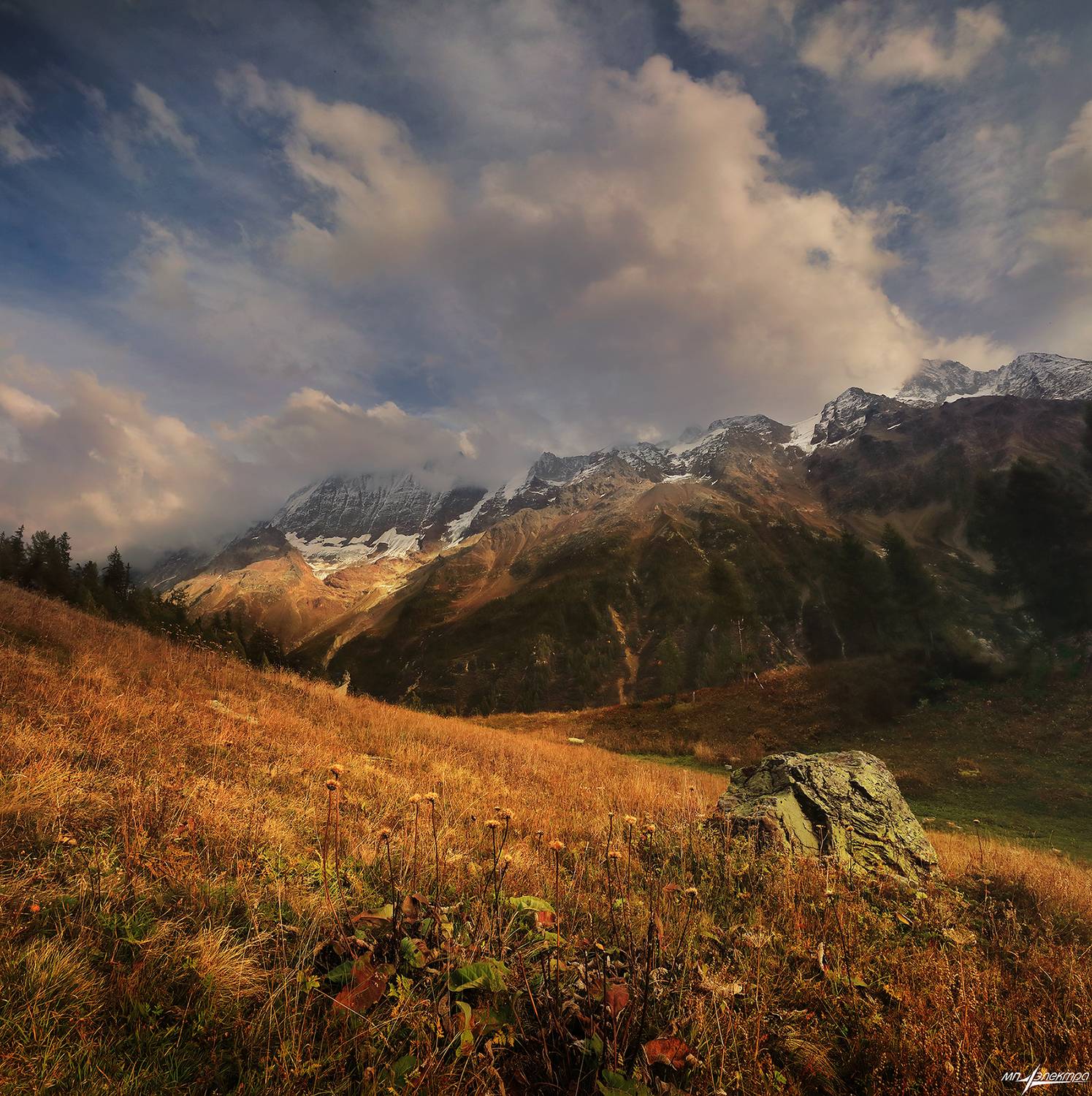swiss, Матвеев Николай
