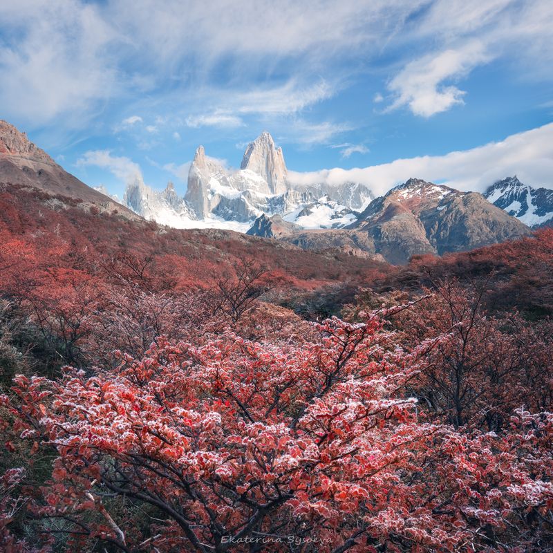 Осенний Фитцрой фото превью