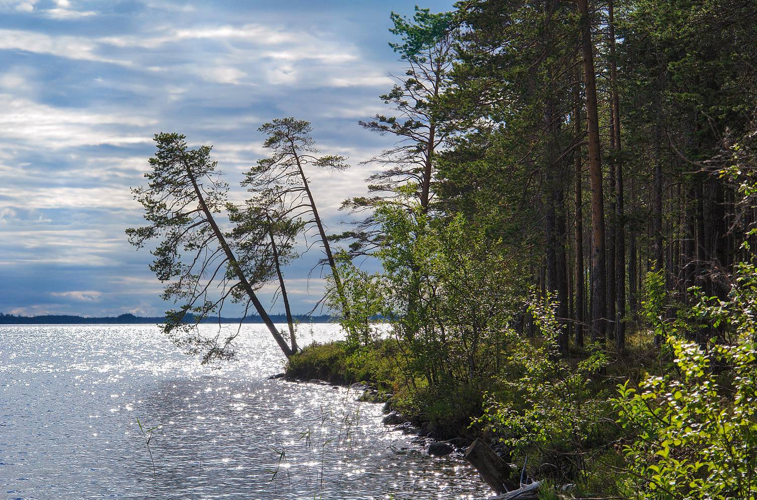 карелия, озеро кереть, Медведев Александр