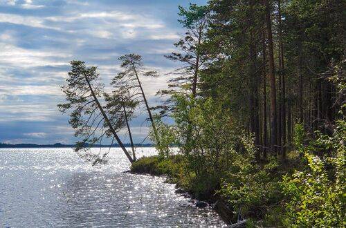 У озера. Вечереет
