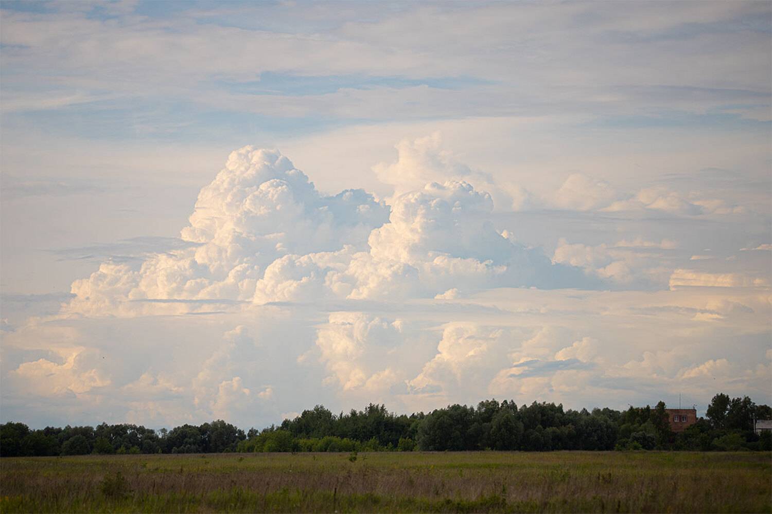 , Чудинин Дмитрий