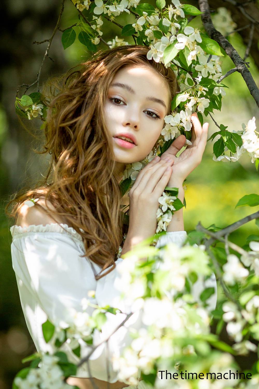 , Михаил Бове