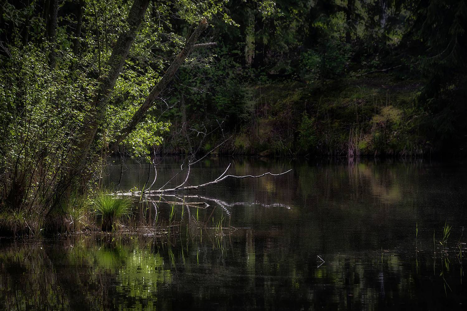 , Сергей Аникин