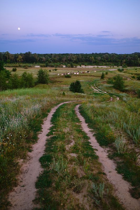 фото превью