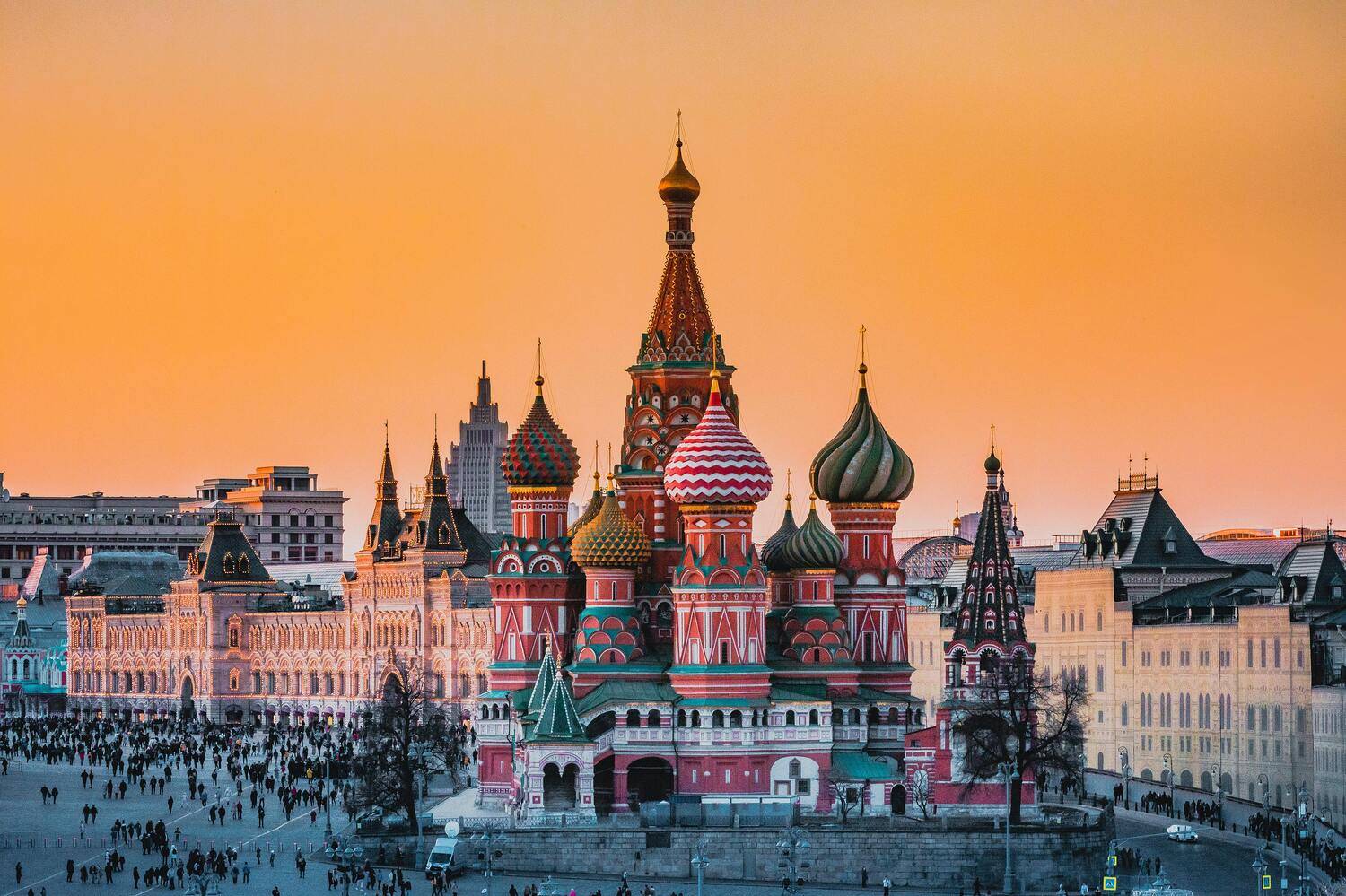 , Трепольский Дмитрий