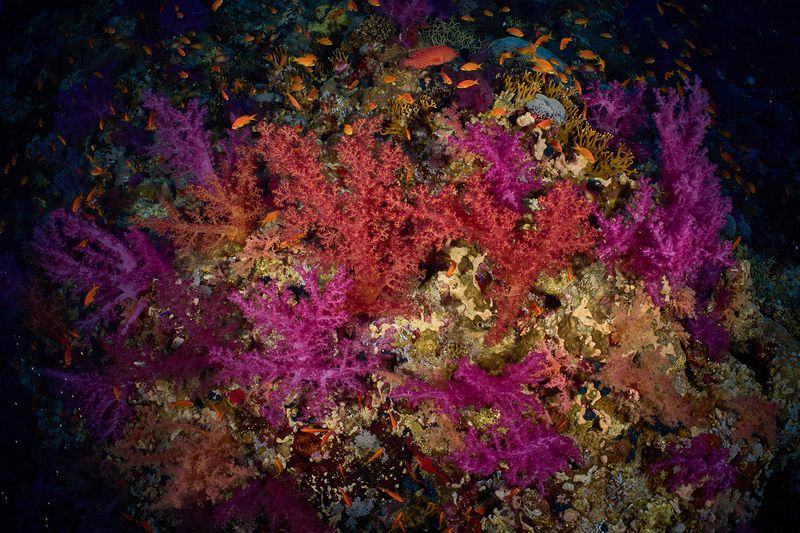 Красноморская фото превью