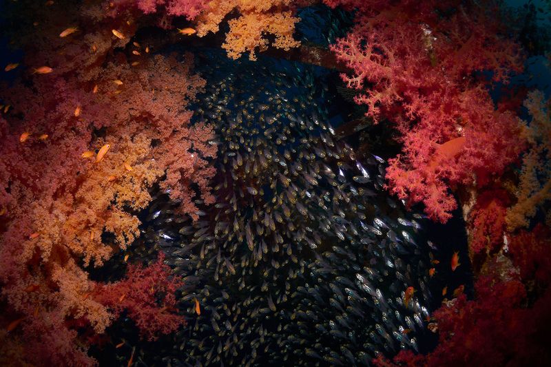 *** фото превью