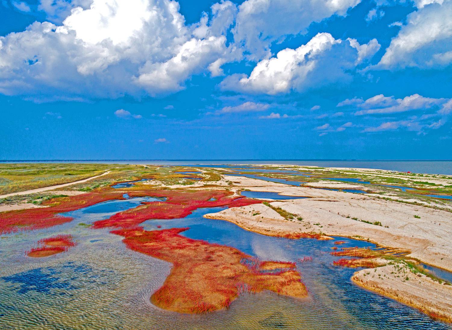 , Андрей Петросян