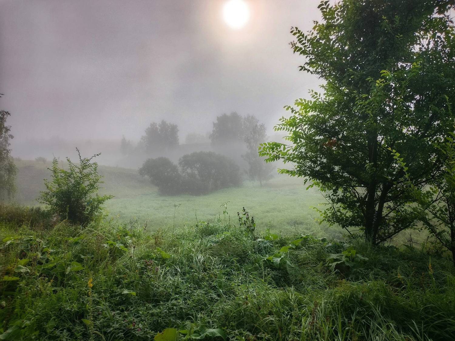 , Кондрашова Светлана