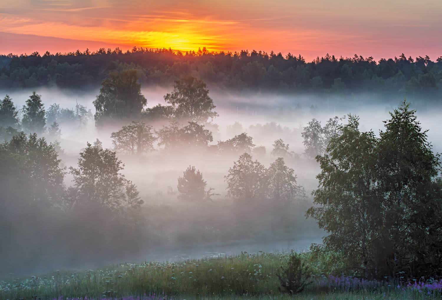 , Евгений Ерохин