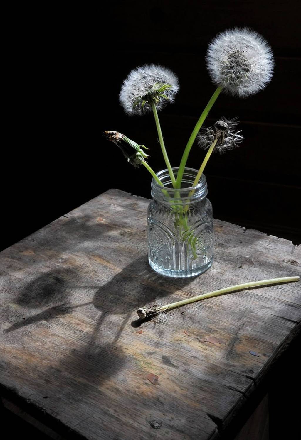 , Ирина Данилова